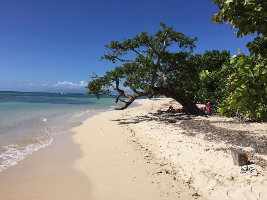 Villa Petite Terre A 50 Metres De La Plage Saint-Francois  Εξωτερικό φωτογραφία